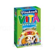Корм для морских свинок Vitakraft Vita Special Regular 600 гр фото