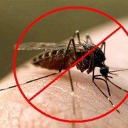Уничтожение комаров фотография