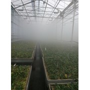 Система туманообразования для теплиц, система туман, установка туманообразования высокого давления