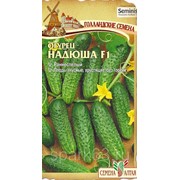 Огурец Кадриль Семена Купить Оптом