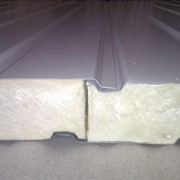 Сендвич-панель ППУ (пенополиуретан) 100мм фото