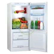 Холодильник Позис RK-101 фото