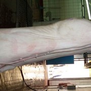 Свинина-полутуши продажа полутуш свинины оптом по Украине фото