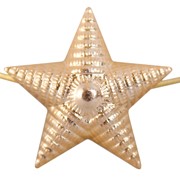 ​ Звезда 20 мм золотая рифленая фото