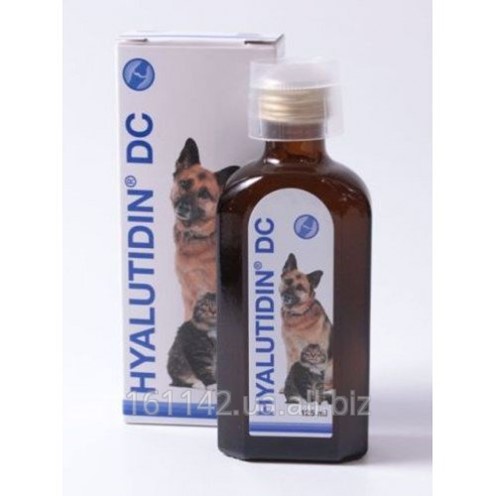 Гиалувит для кошек. Гиалутидин хондропротектор 125мл. Гиалутидин для лошадей. Гиалутидин аналоги для собак. Хондропротекторы собаки и лошади.