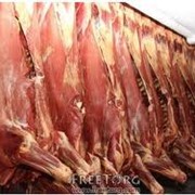 Мясо говяжье полутуши глубокой заморозки фотография