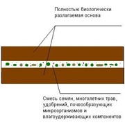 Биоматы фото