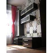 Тумба под TV.Мебель для гостиной,мебель для дома на заказ,цена производителя Зебрано,Луцк.Украина