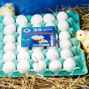 Яйца куриные СО, С1, С2, С3 столовые и диетические фото