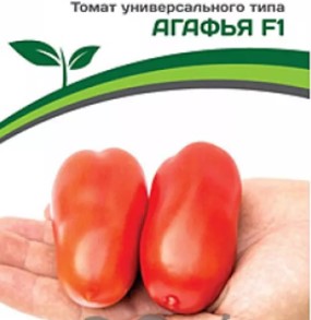 Томат Герцогиня Вкуса Отзывы Фото