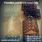 Пластиковая упаковка под перепелиные яйца в киеве и Украине