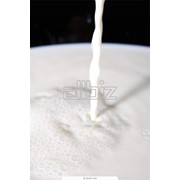 Переработка молока фотография