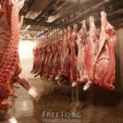 Мясо баранины полутуши охлажденное фотография