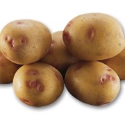 Оптовые продажи сортового картофеля