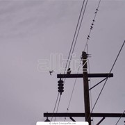 Электроэнергия фотография