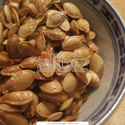Семена тыквы фото