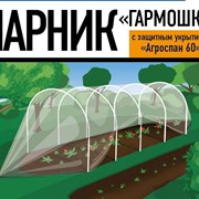 Парник "Гармошка" 8 метров