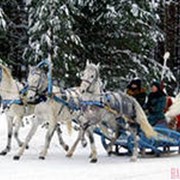 Дед Мороз на тройке лошадей фото