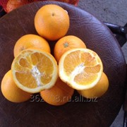 Апельсины Абхазские