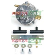 Редуктор BIGAS RIDGB210300 LPG (пропан) фото