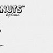 Замковый пробковый пол Corkstyle, Peanuts, Peanuts Classic (915х305х11 мм) упак. 1,68м2 фотография