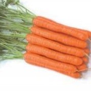 Семена моркови Монанта F1 2 г фотография
