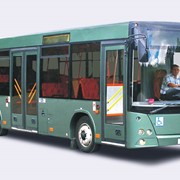 Автобус пригородный МАЗ-206 фотография