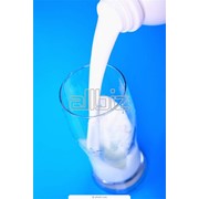 Молоко опт, Молоко от производителя, Сырое молоко оптом фото