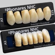 Зубы с нано гибридного композита Phonares NHC 6шт. фото