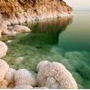 Туры в Израиль: Мертвое море фото
