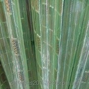 Тюль, гардина, органза ткань для тюли зеленая 200 фото