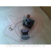 Терморегулятор 220В фото