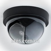 Муляж купольной видеокамеры CoVi Security DM-1D фотография