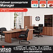 Мебель для кабинета руководителя “Manager“ фото