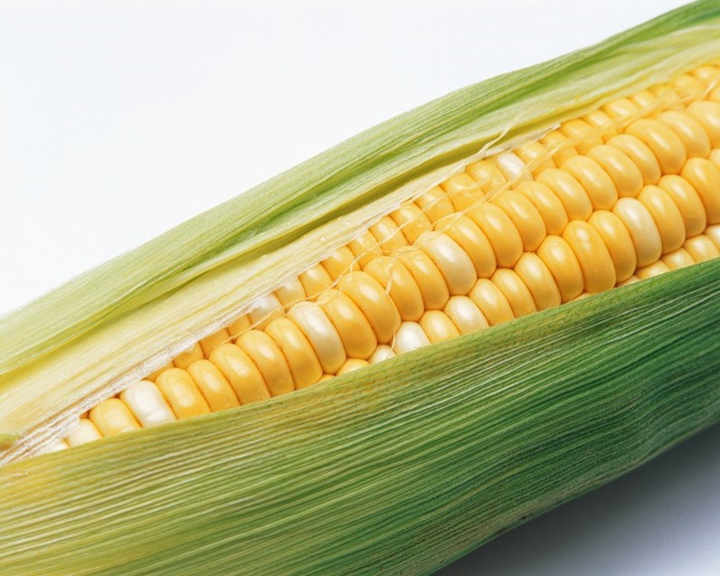 Кукла из початка кукурузы. Кукурузные волосы. Сорт кукурузы жио. Кукуруза с волосами. Сорта и гибриды кукурузы.