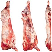 Продам говядину, мясо в півтушах вищого сорту ТЗОВ “Мясодар“ фото