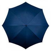 Зонтик LGF500-8048 фото