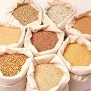 Переработка зерна в корм для животных фото