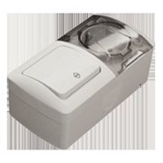 EVA Выключатель проходной+Розетка с заземлением с прозрачной крышкой накладной светло-серый IP54 554-011500-929 фотография