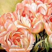 Картина по номерам Розовые тюльпаны фото