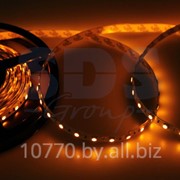 LED лента открытая, ширина 10 мм, IP23, SMD 5050, 60 диодов/метр, 12V, цвет светодиодов желтый фото