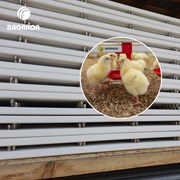 Трубы поения для бройлеров фото