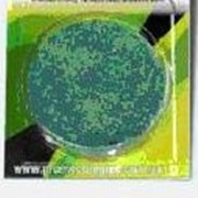 Биопрепараты фото