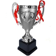 Кубок наградной Sportex 35см: 2-е место Серебро C28728 фото