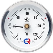 Термометр биметаллический 120°C L=60 (50) фото