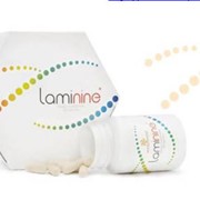 Ламинин (Laminine) Компания LPGN фото