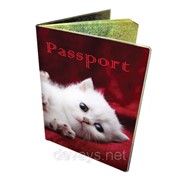 Оригинальная обложка для паспорта Котёнок фото