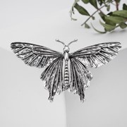 Брошь 'Бабочка' фактурная, цвет чернёное серебро фото