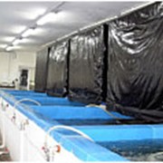 Автоматизированные установки замкнутого водоснабжения для выращивания осетровых и декоративных рыб от 200 до 10000 литров фото