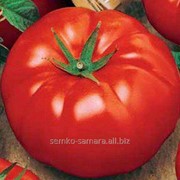 Семена томатов Биг Биф F1